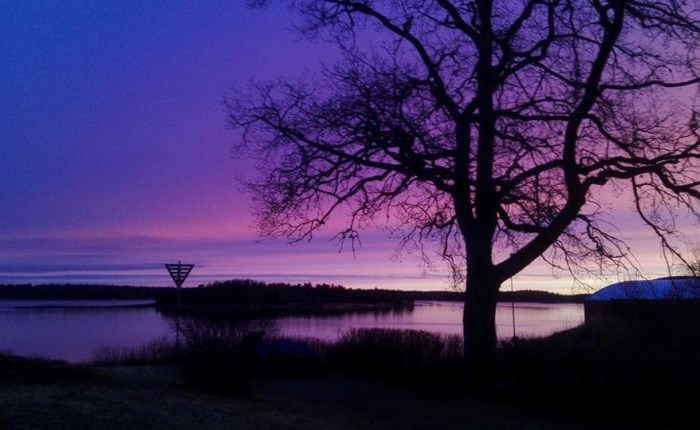 Swedish poems and my love of&nbsp;nature