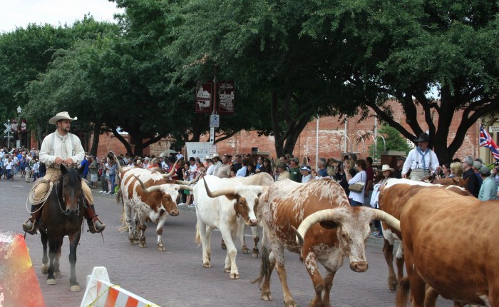 Efter USA-valet : Texas det nya&nbsp;Kalifornien