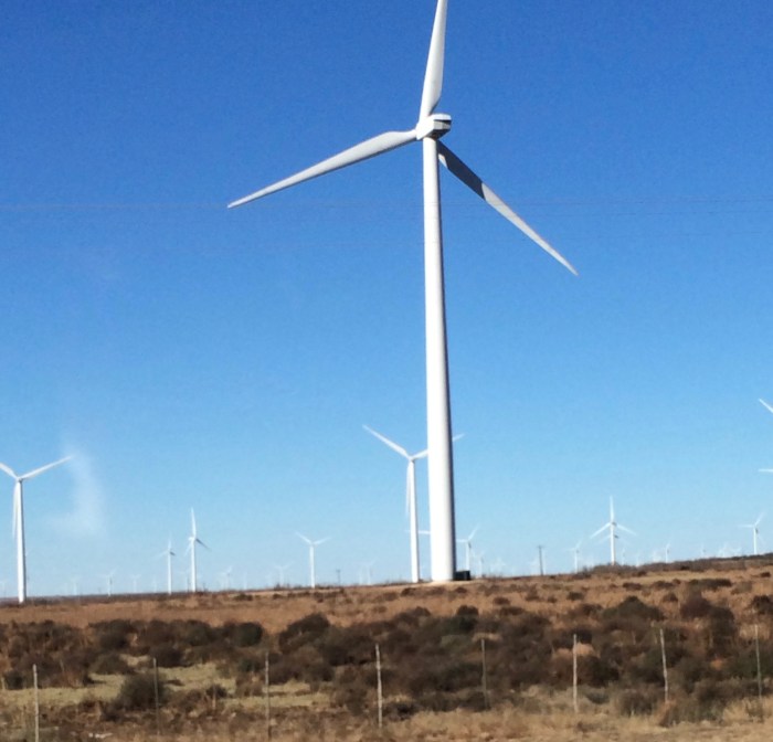 texas-vind-farm