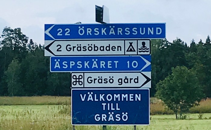 Greta Thunberg and our environment – a&nbsp;reflection